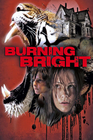 Burning Bright (2010) Hindi Dual Audio 720p BluRay [750MB] - Movierulz