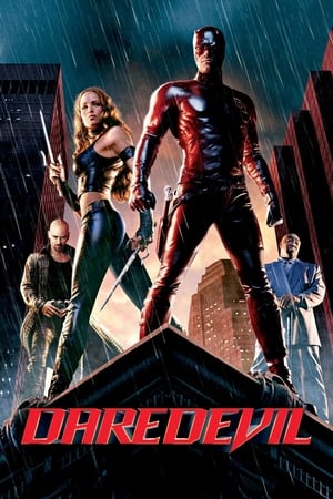 Daredevil (2003) Hindi Dual Audio 720p BDRip [880MB] - Movierulz