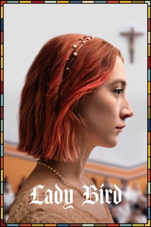 Lady Bird 2017 Hindi Dual Audio 480p BluRay 300MB - Movierulz