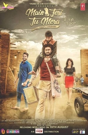 Main Teri Tu Mera 2016 Punjabi 480p HDRip ESubs [400 MB] - Movierulz