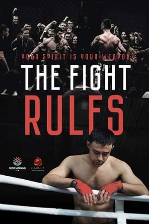 The Fight Rules 2017 Hindi Dual Audio 720p WebRip [730MB] - Movierulz