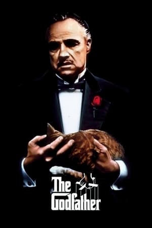 The Godfather Part I (1972) Dual Audio Hindi Movie 720p BluRay - 1GB - Movierulz