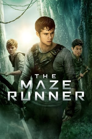 The Maze Runner (2014) Hindi Dual Audio 480p BluRay 400MB - Movierulz