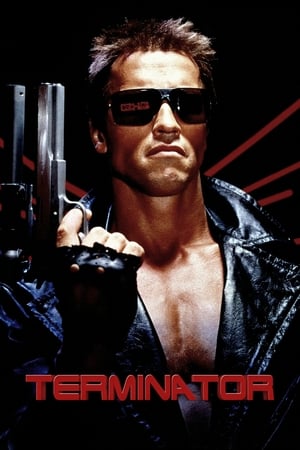 The Terminator (1984) Hindi Dual Audio 480p BluRay 380MB - Movierulz
