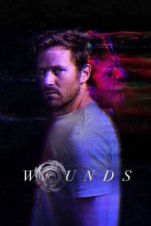Wounds (2019) Hindi Dual Audio 480p BluRay 300MB - Movierulz